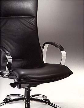 Model "BUSINESS 350"